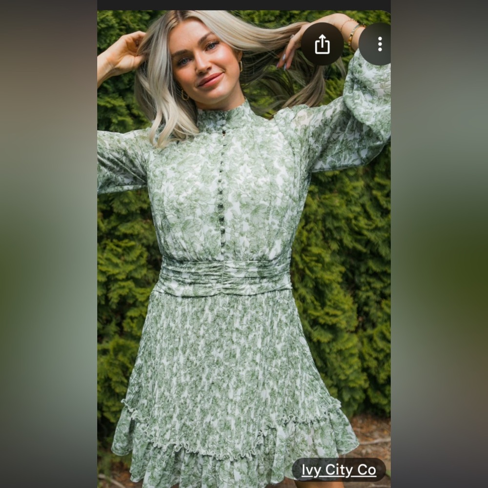 IVY CITY CO. Elegant Brynlee Dress in Sage Green.